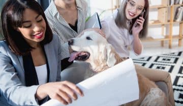 To Attract the Talent You Need, Appeal to Millennials with the Benefits They Want