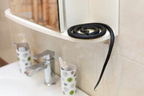 Don’t start a fire, call an expert instead