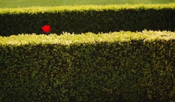 Look Behind the Hedges: Rethinking HR’s Role in a Changing Workforce